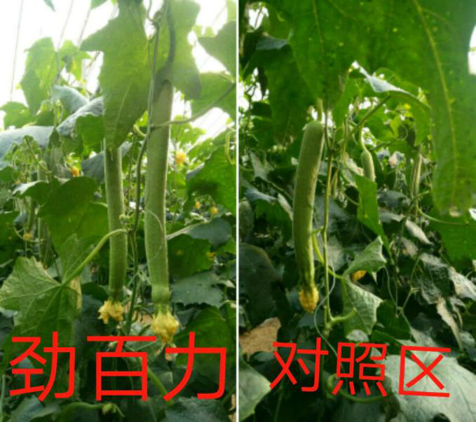 1553058731140051.png 1553058731140051.png