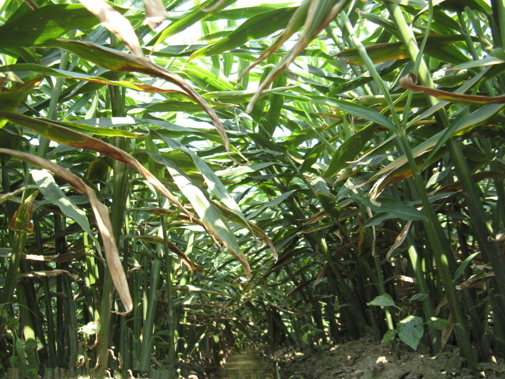 1553070957459020.png 4-3.png