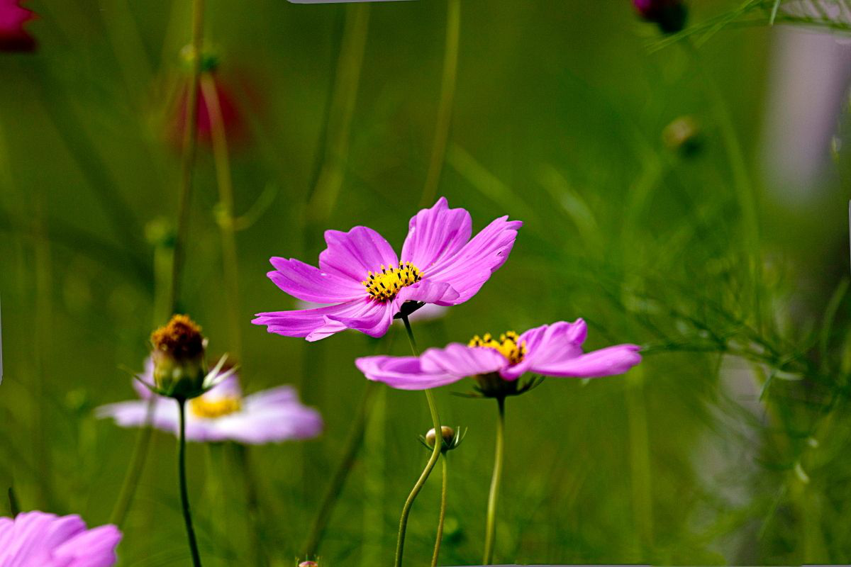 1553073925729431.png 1-7.png