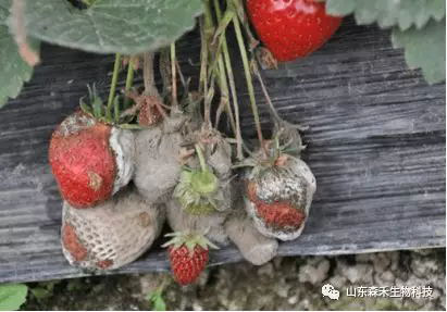 1553129832138114.png 1553129832138114.png