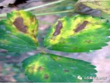 1553129868124577.png 1553129868124577.png